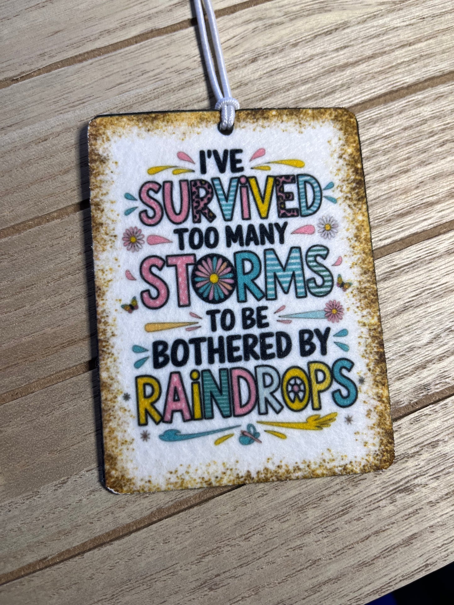 Car Freshies - Survived Storms